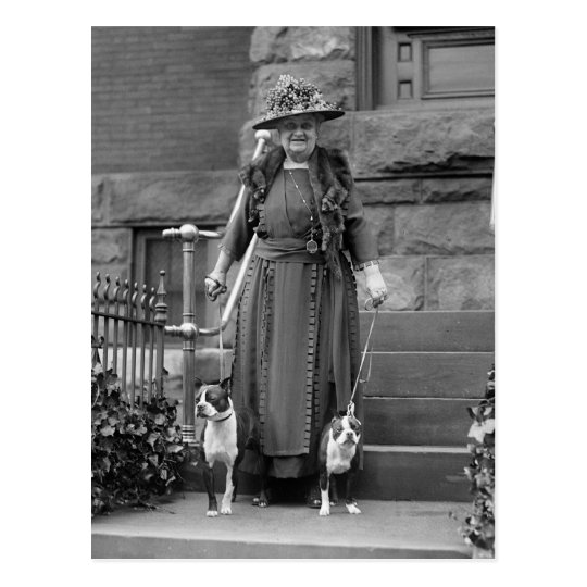 Boston Terriers & 1920s Fashion Postcard | Zazzle