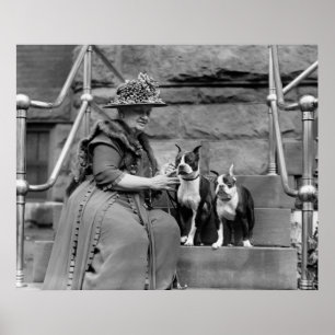 Boston Terriers, 1920s Poster