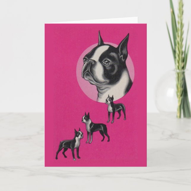 Boston terriers card (Front)