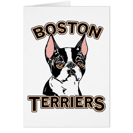 Boston Terriers Mascot Cards (Front)