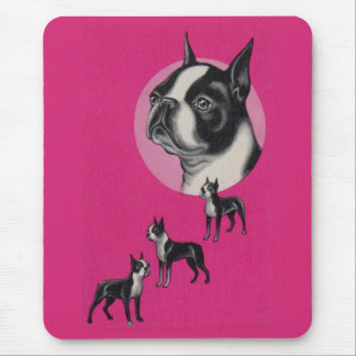 Boston terriers mouse pad