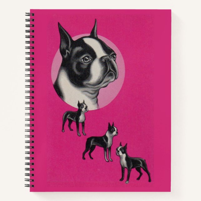 Boston terriers notebook (Front)
