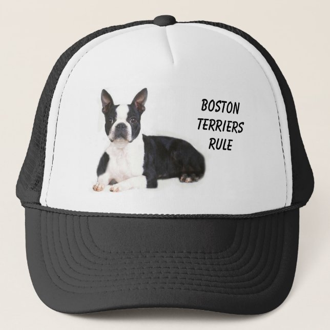 Boston Terriers Rule Hat (Front)