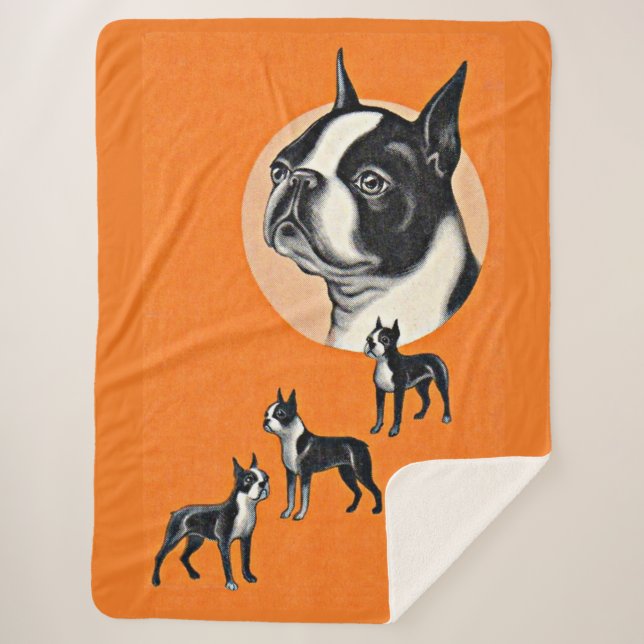  Boston terriers Sherpa Blanket (Front)