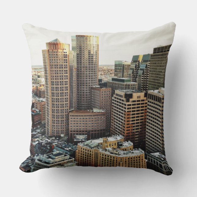 Boston view throw pillow (Front)