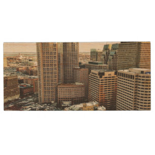 Boston view wood flash drive