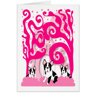 Bostons in the Pink Cards