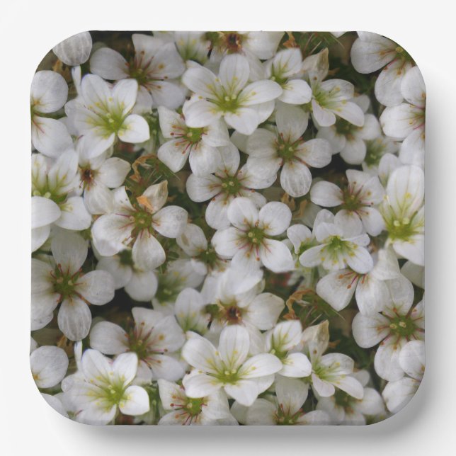 Botanic Garden White Flowers Paper Plates (Front)