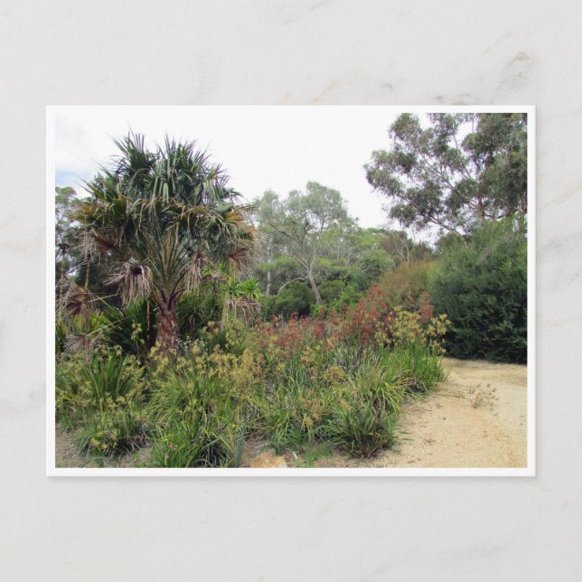 botanic gardens canberra postcard (Front)