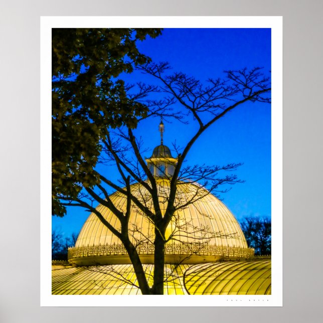 Botanic Gardens, Glasgow Poster (Front)