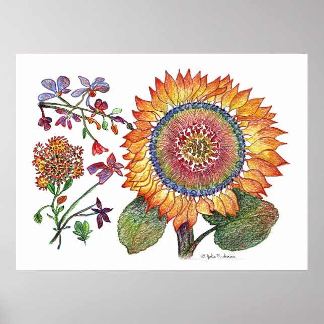 botanical46 poster (Front)