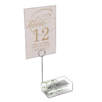 Botanical 15th Birthday Eucalyptus Quinceanera