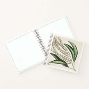 Botanical 18th Century Art Sketchbook Notebook