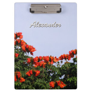 Botanical African Tulip Tree any Text Clipboard