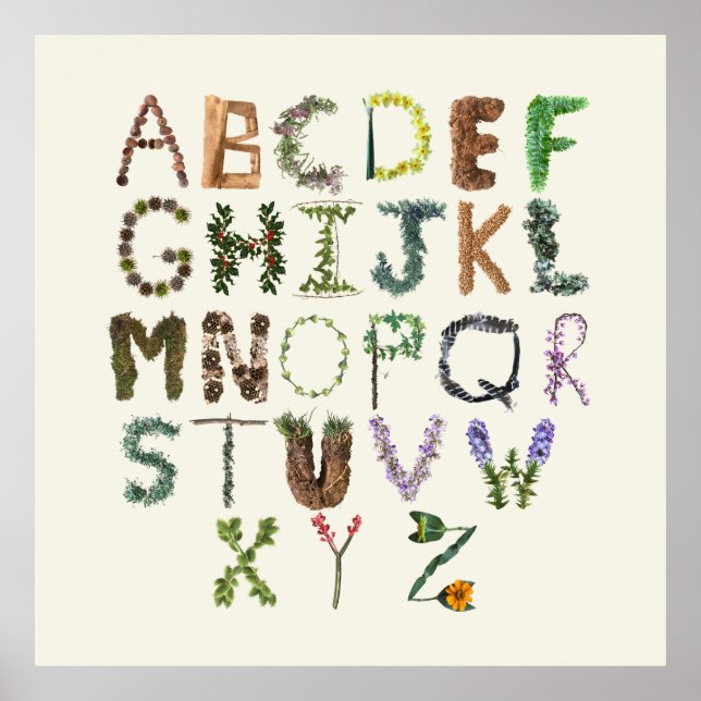 Botanical Alphabet - Nature ABC Phonetic  Poster (Front)