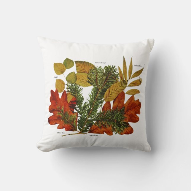 Botanical Art Autumn Leaves Assortment Throw Pillow (Front)