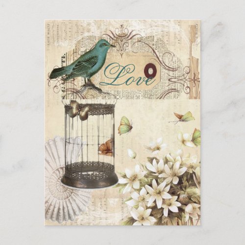 botanical art birdcage modern vintage french bird postcard