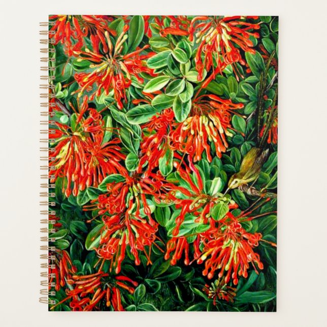 Botanical art: Burning Bush and Emu Wren of Chile Planner (Front)