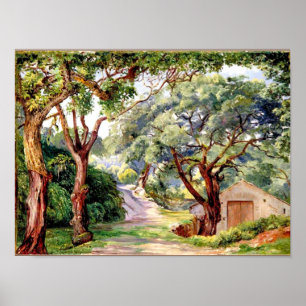 Botanical art: Cork Trees at Cintra near Lisbon Poster