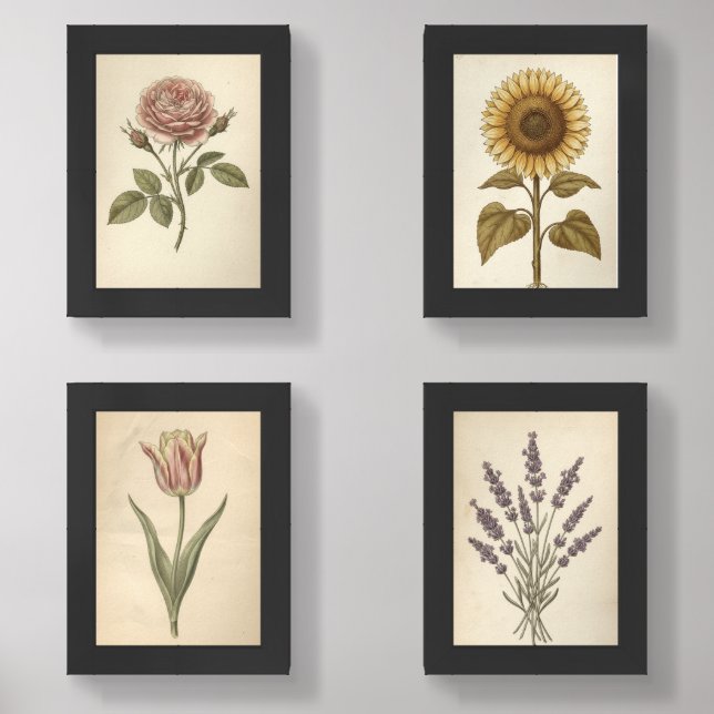 botanical art prints, flowers in an antique style wall art sets (Front)