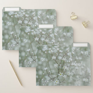 Botanical Baby's Breath Flower Nature Photography File Folder