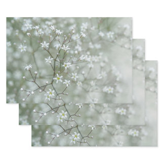 Botanical Baby's Breath Flower Plant Photo Wrapping Paper Sheets
