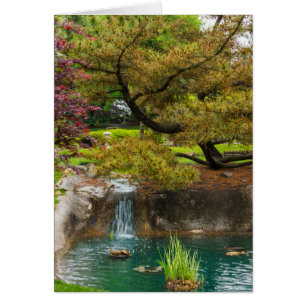 Botanical Bliss Cards