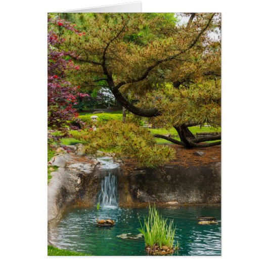 Botanical Bliss Cards (Front)
