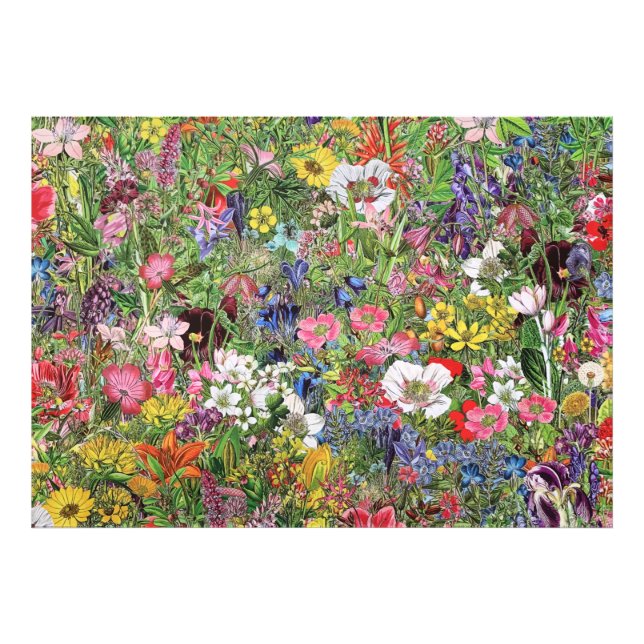 Botanical Bloom Nature Wildflower Photo Print (Front)