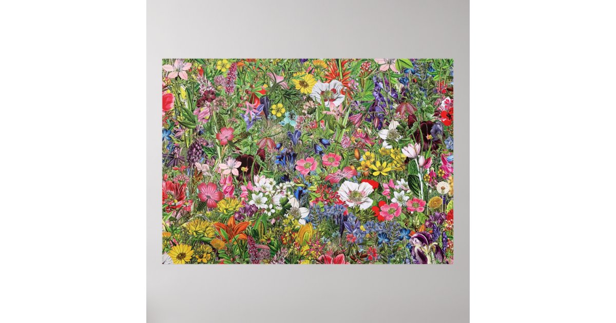 Botanical Bloom Nature Wildflower Poster | Zazzle