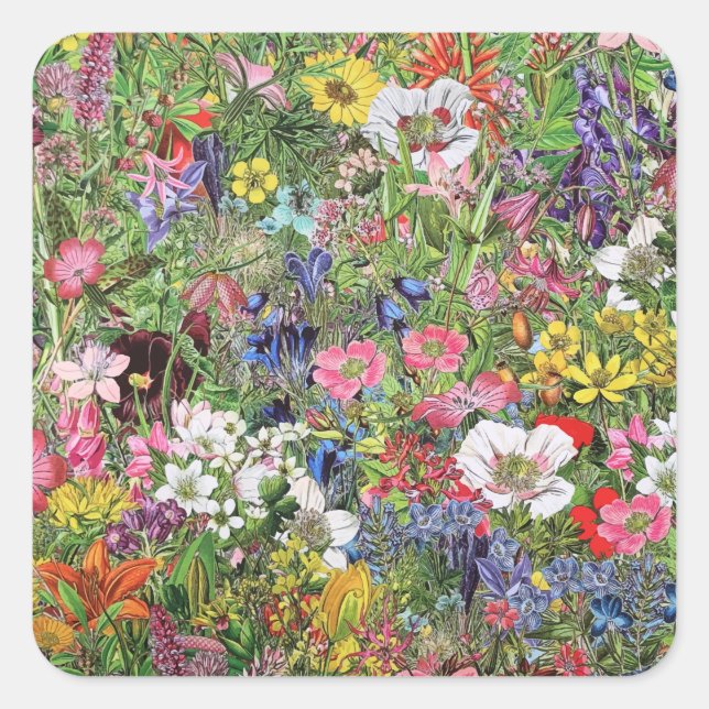 Botanical Bloom Nature Wildflower Square Sticker (Front)