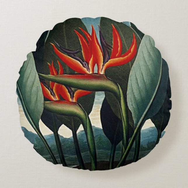 Botanical Blooms Bird Of Paradise Cushions (Front)