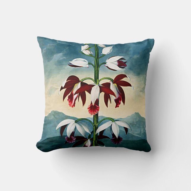 Botanical Blooms China Limodoron Cushions (Front)