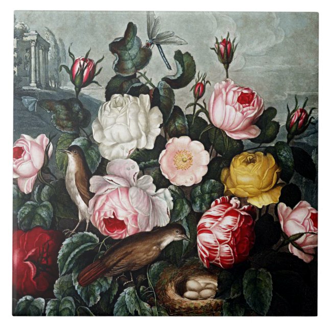 Botanical Blooms Roses Ceramics Tile (Front)