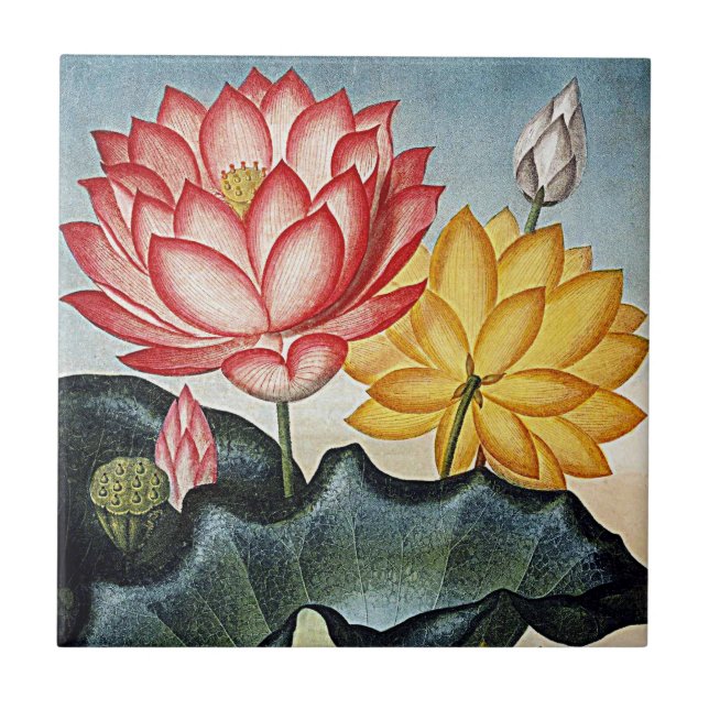 Botanical Blooms Tropical Flowers Ceramics Ceramic Tile (Front)