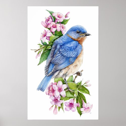 Botanical Blue Bird Poster