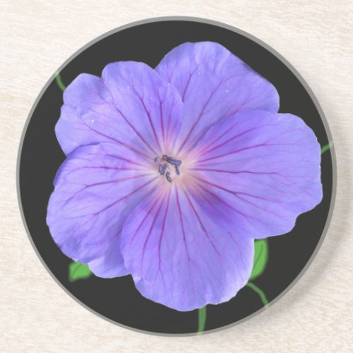 Botanical Blue Geranium Flower on any Color Drink Coaster