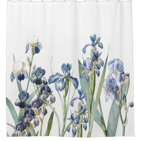 Botanical Blue Iris Flowers Floral Garden Shower Curtain