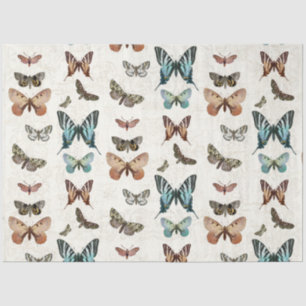 Botanical Butterfly Blue Peach Vintage Decoupage Tissue Paper
