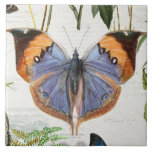 Botanical Butterfly Flower Garden Floral Vintage 5 Ceramic Tile<br><div class="desc">#5 of 5 coordinating tile images. Magnificent, elegant vintage fairy butterfly steals the show in this collage with botanical flowers, butterflies, dragonflies and script handwriting ephemera and antique advertising images over a soft cream, ivory textured background. Collage created and Graphically designed by internationally licensed artist and designer, Audrey Jeanne Roberts,...</div>