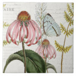 Botanical Butterfly Pink Wildflower Fern Vintage 3 Ceramic Tile<br><div class="desc">#3 of 5 coordinating tile options. Pale blue tiny mountains butterfly and a pink Echinacea wildflower are center stage in this collage with script handwriting ephemera and antique advertising images over a soft cream, ivory textured background. Collage created and Graphically designed by internationally licensed artist and designer, Audrey Jeanne Roberts,...</div>