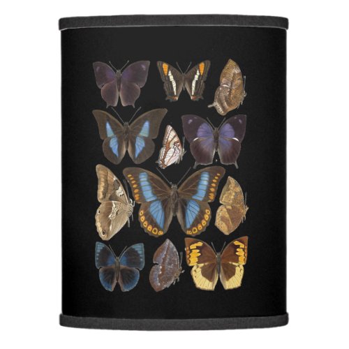 botanical butterfly species lamp shade