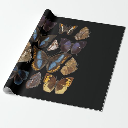 botanical butterfly species wrapping paper