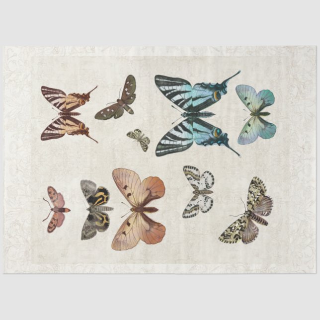 Botanical Butterfly Vintage Blue Peach Decoupage Tissue Paper (Front)