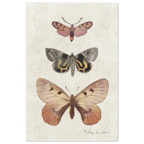 Botanical Butterfly Vintage Peach Blush Decoupage Tissue Paper