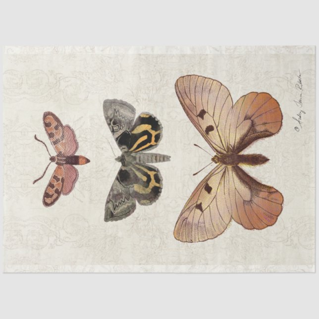 Botanical Butterfly Vintage Peach Blush Decoupage Tissue Paper (Front)
