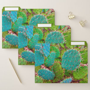 Botanical Cactus Succulent Green File Folder