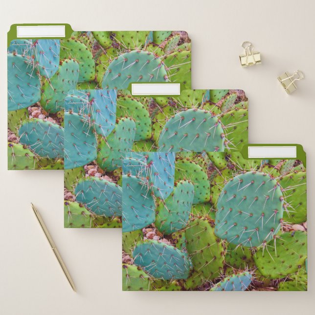 Botanical Cactus Succulent Green File Folder (Set)