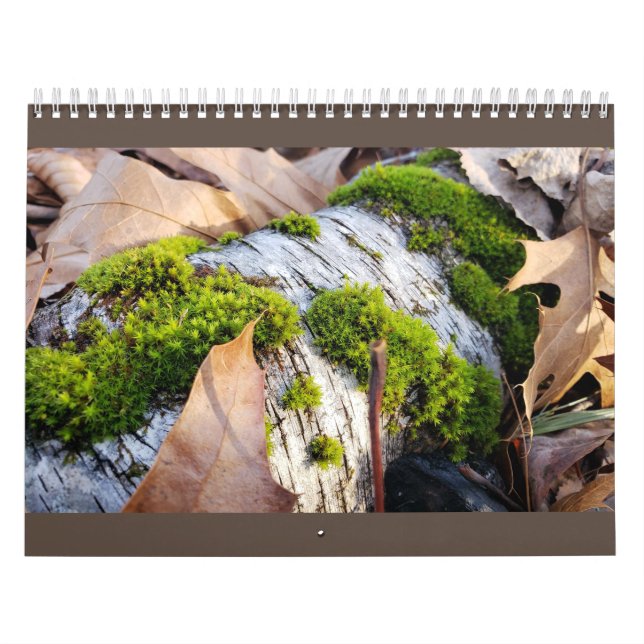 Botanical Calendar  (Cover)