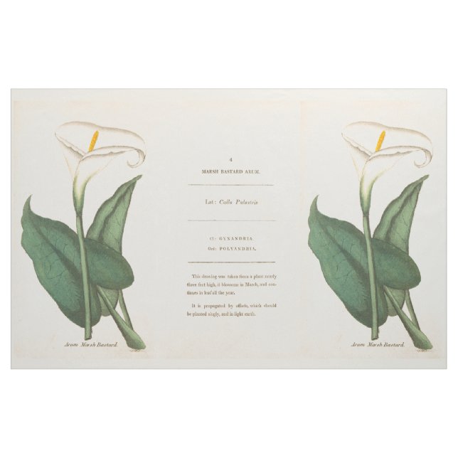 Botanical Calla Lilies Flowers Floral Fabric (Yard)